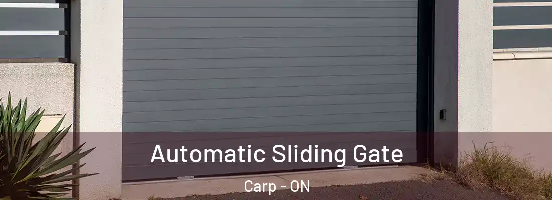  Automatic Sliding Gate Carp - ON