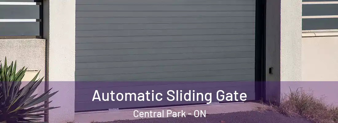  Automatic Sliding Gate Central Park - ON