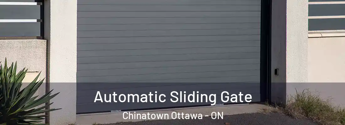  Automatic Sliding Gate Chinatown Ottawa - ON