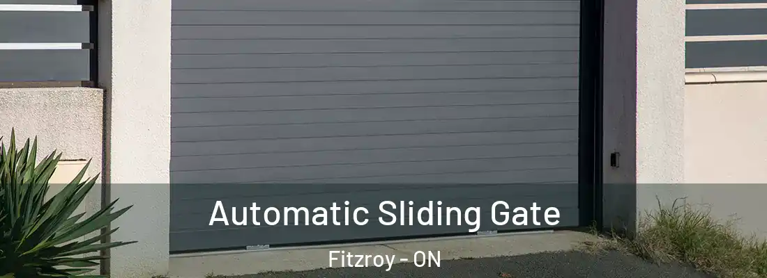  Automatic Sliding Gate Fitzroy - ON