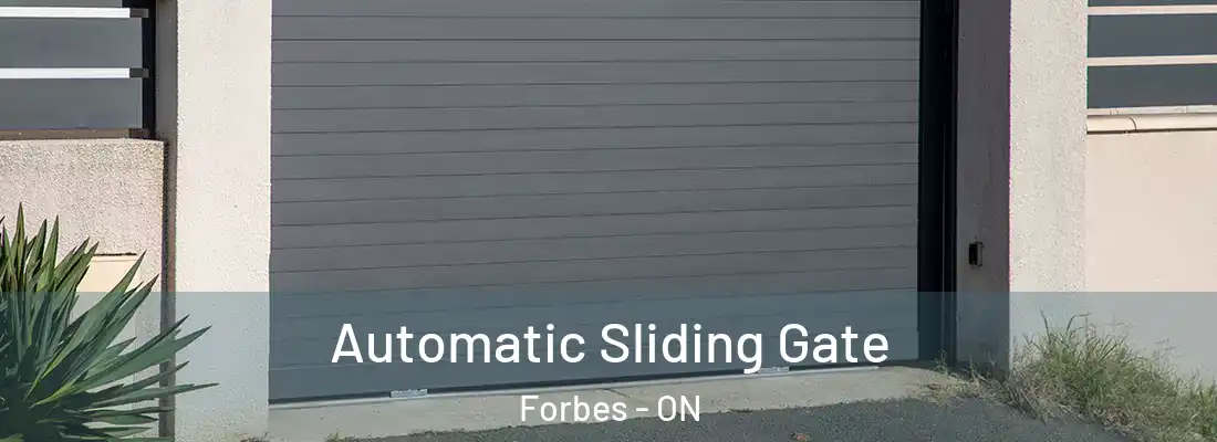  Automatic Sliding Gate Forbes - ON