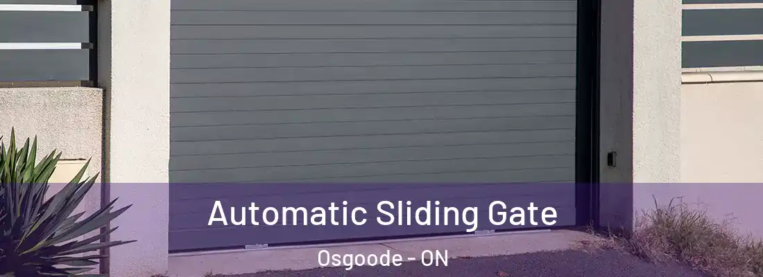  Automatic Sliding Gate Osgoode - ON