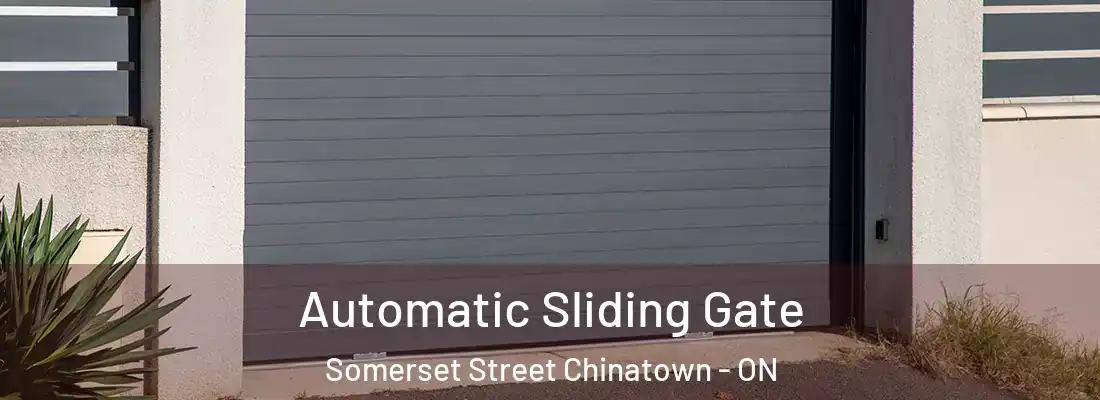  Automatic Sliding Gate Somerset Street Chinatown - ON