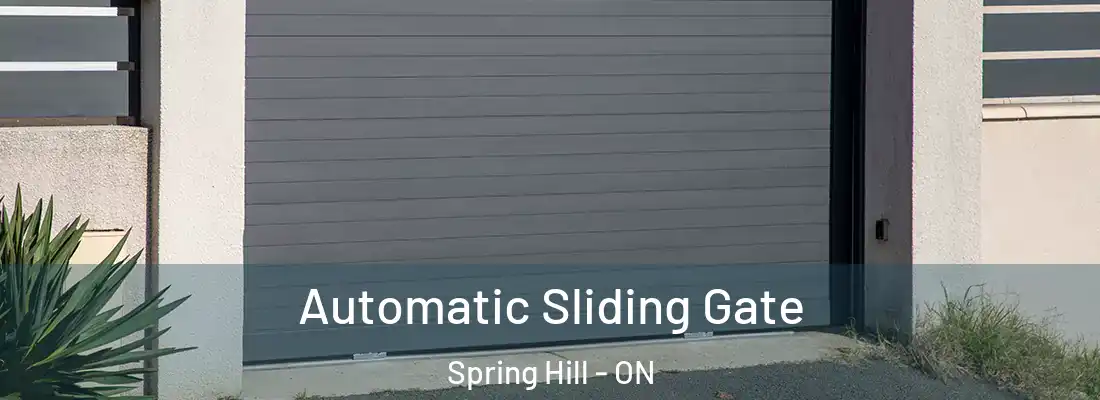  Automatic Sliding Gate Spring Hill - ON