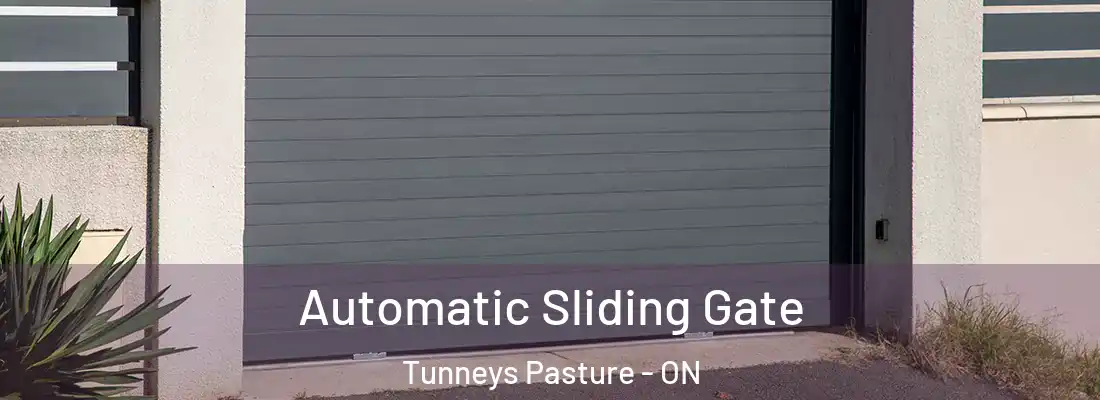  Automatic Sliding Gate Tunneys Pasture - ON