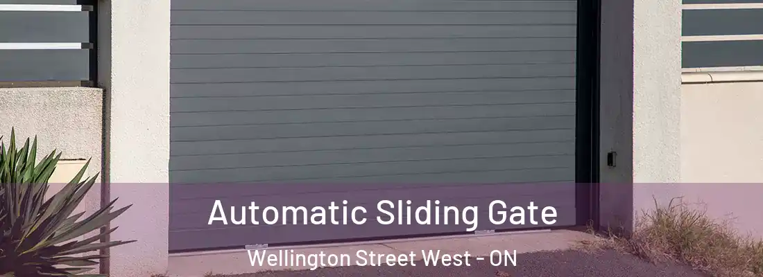  Automatic Sliding Gate Wellington Street West - ON