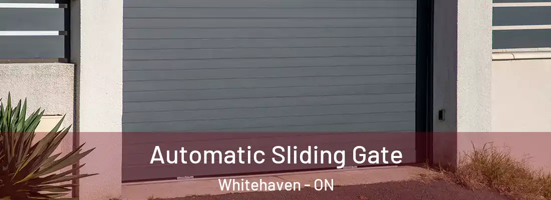  Automatic Sliding Gate Whitehaven - ON