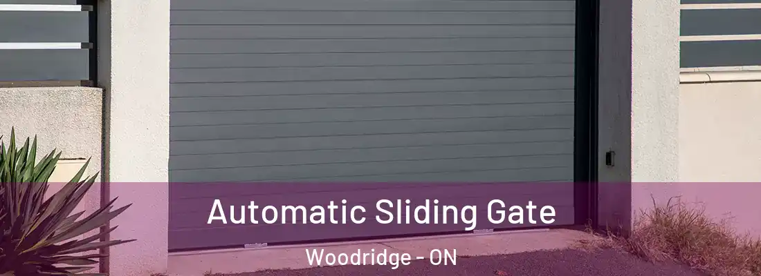  Automatic Sliding Gate Woodridge - ON