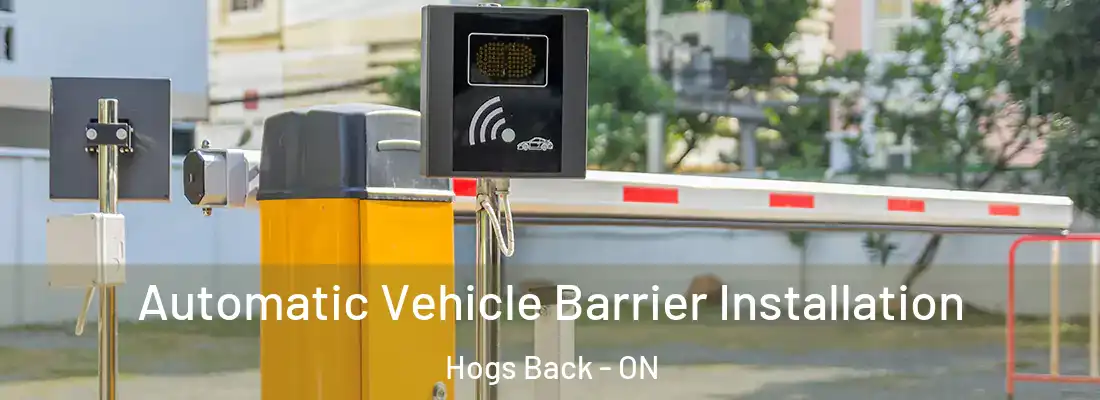  Automatic Vehicle Barrier Installation Hogs Back - ON