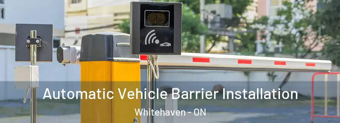  Automatic Vehicle Barrier Installation Whitehaven - ON