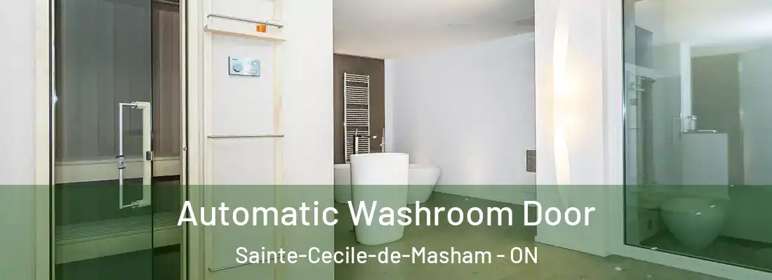  Automatic Washroom Door Sainte-Cecile-de-Masham - ON