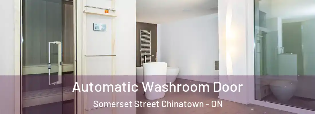  Automatic Washroom Door Somerset Street Chinatown - ON