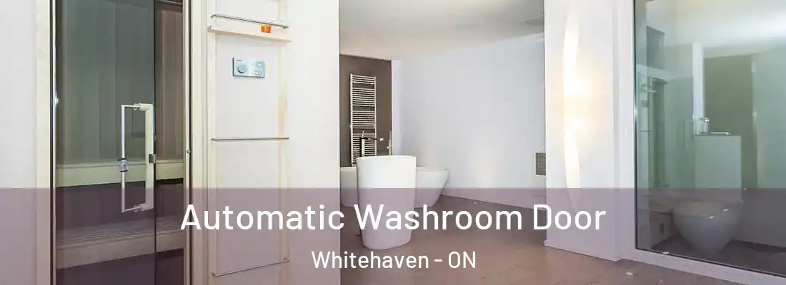  Automatic Washroom Door Whitehaven - ON