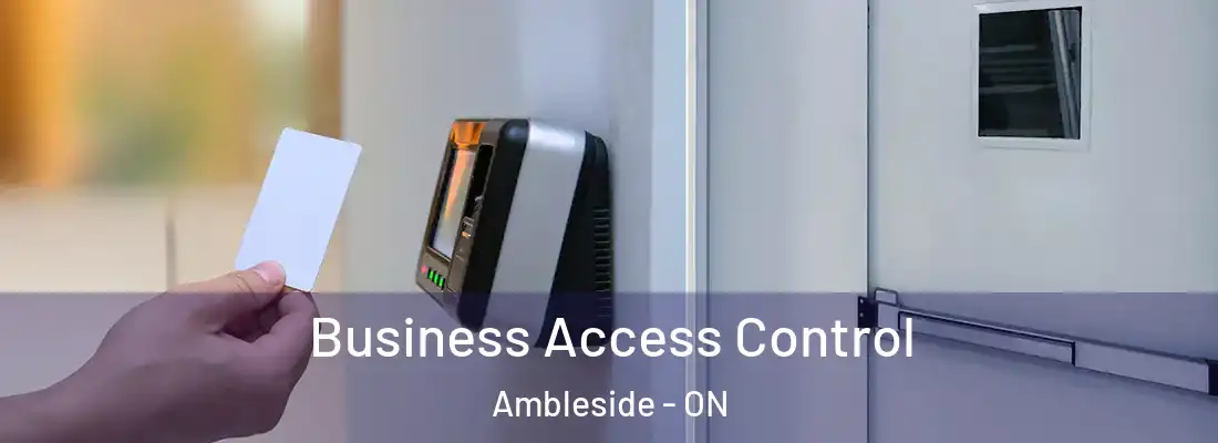  Business Access Control Ambleside - ON