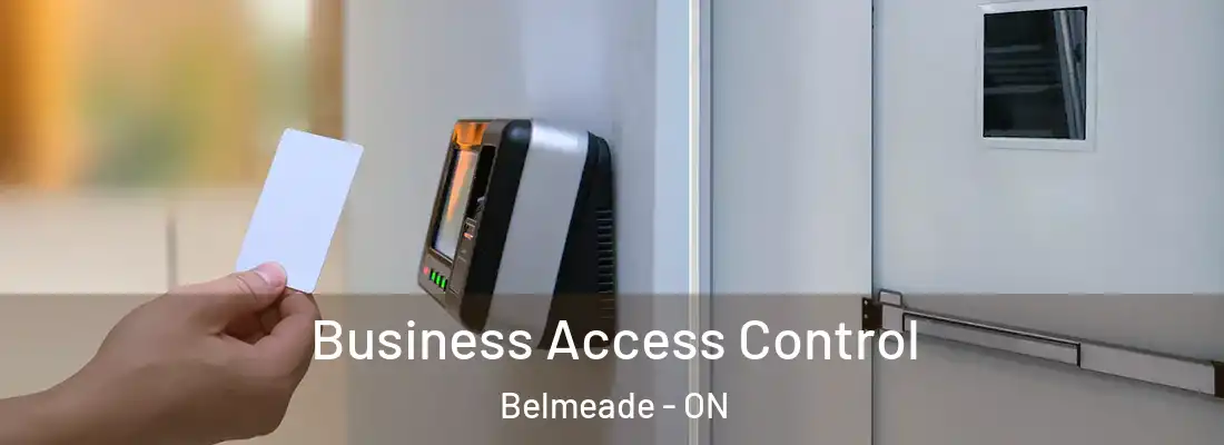  Business Access Control Belmeade - ON