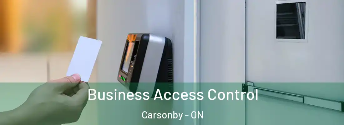  Business Access Control Carsonby - ON