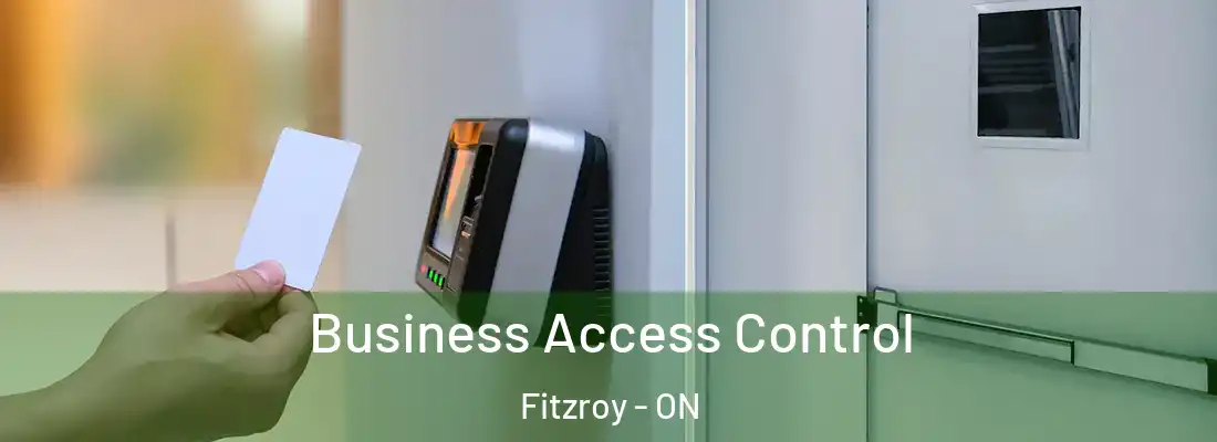  Business Access Control Fitzroy - ON