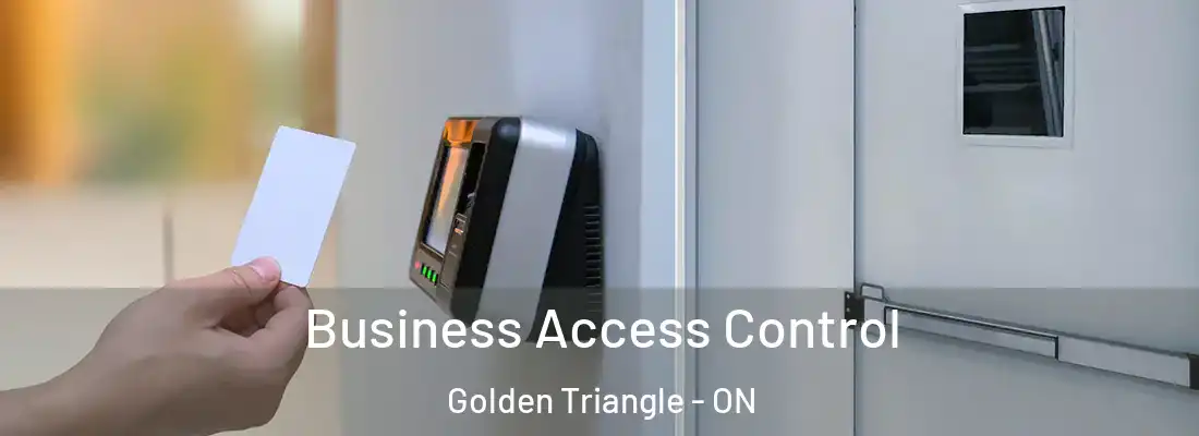  Business Access Control Golden Triangle - ON