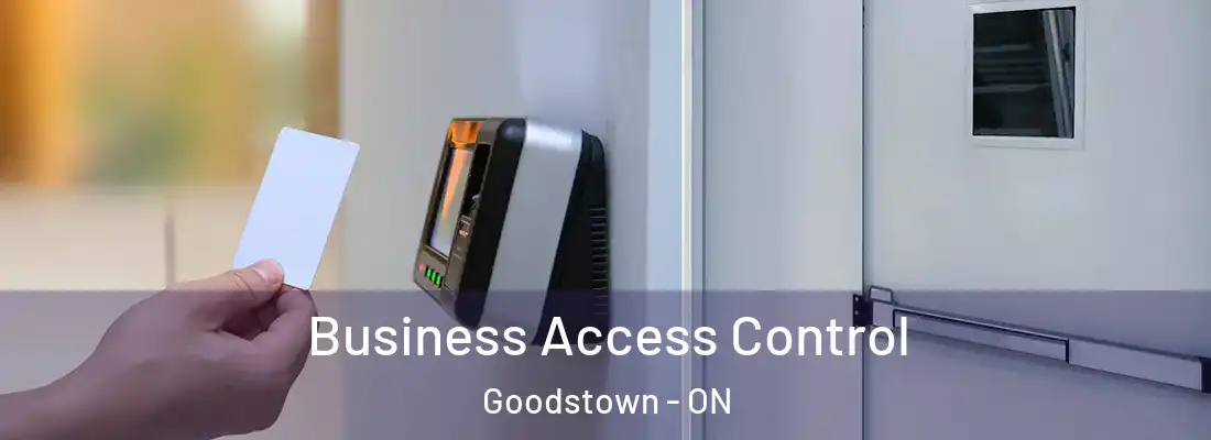  Business Access Control Goodstown - ON