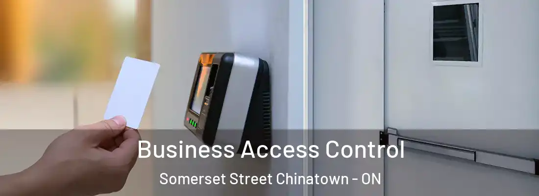  Business Access Control Somerset Street Chinatown - ON