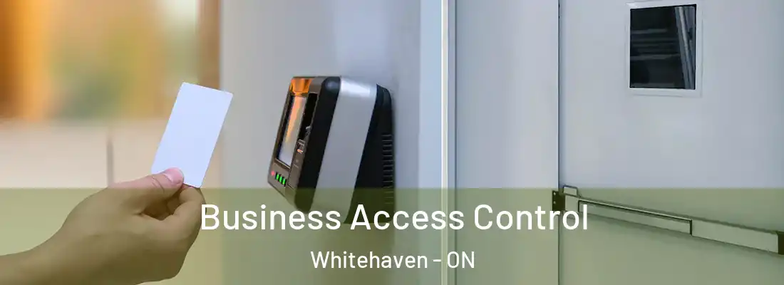  Business Access Control Whitehaven - ON