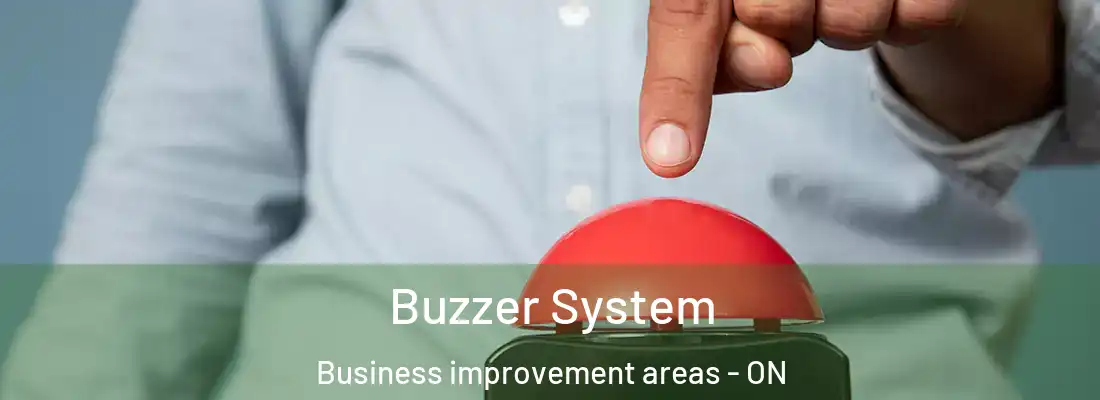  Buzzer System Business improvement areas - ON