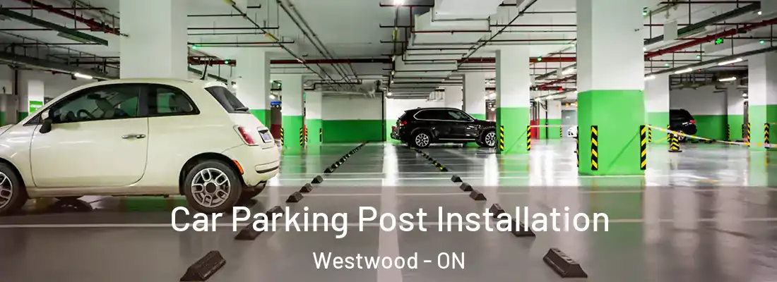  Car Parking Post Installation Westwood - ON