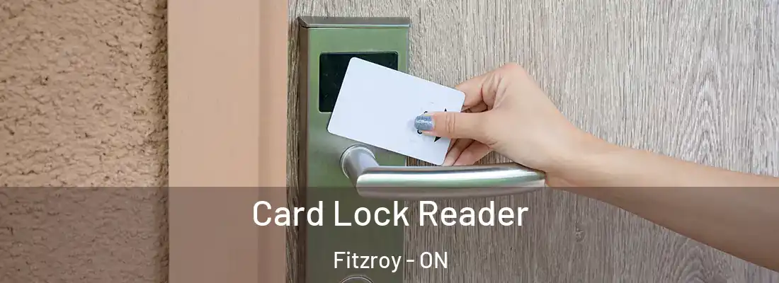  Card Lock Reader Fitzroy - ON