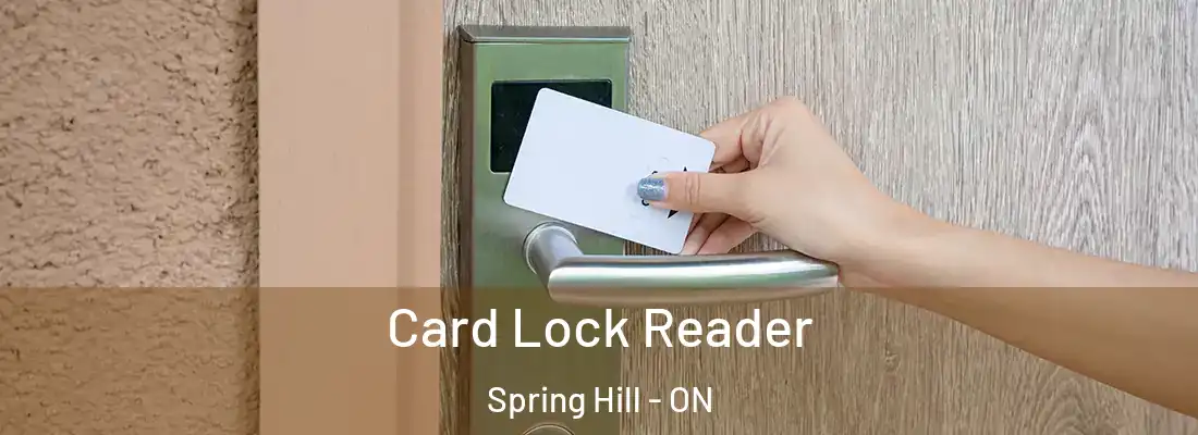  Card Lock Reader Spring Hill - ON