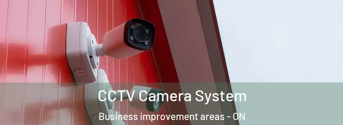  CCTV Camera System Business improvement areas - ON
