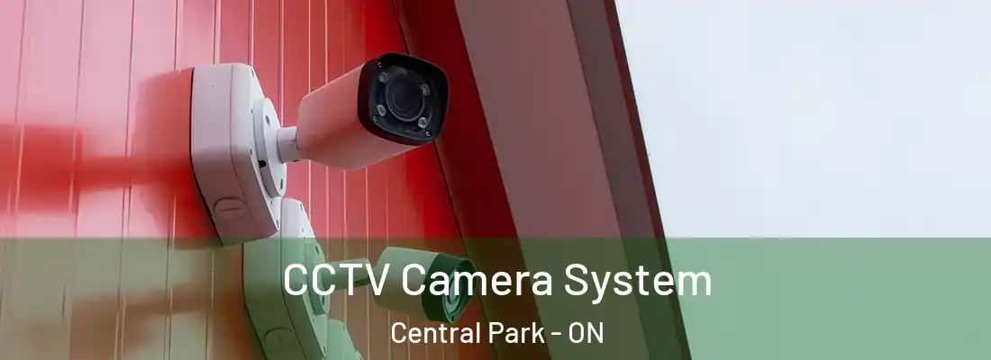  CCTV Camera System Central Park - ON