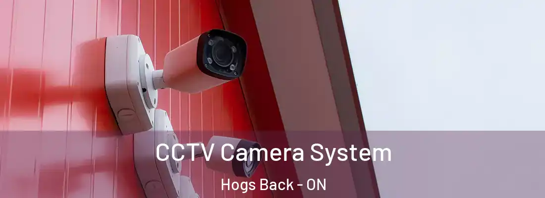  CCTV Camera System Hogs Back - ON