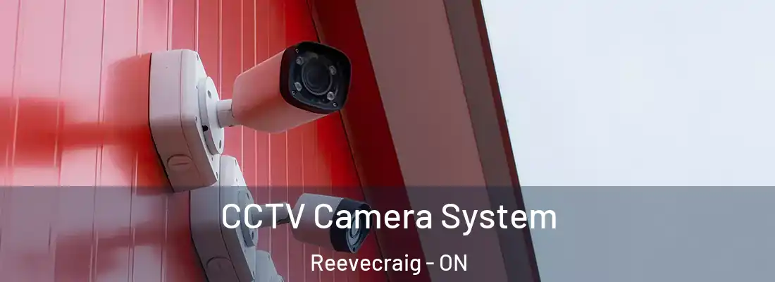  CCTV Camera System Reevecraig - ON