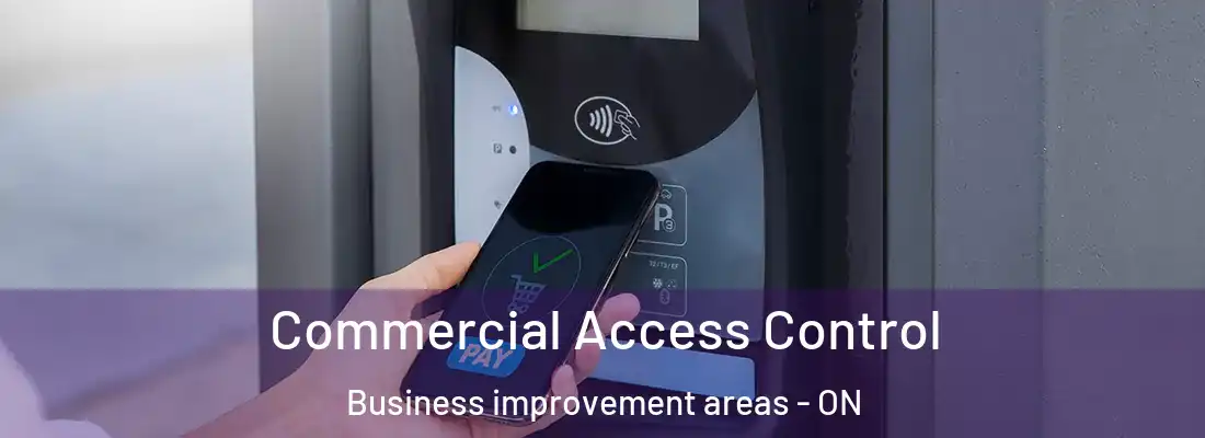  Commercial Access Control Business improvement areas - ON