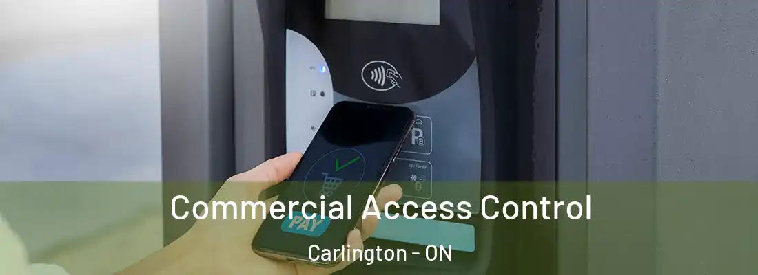  Commercial Access Control Carlington - ON