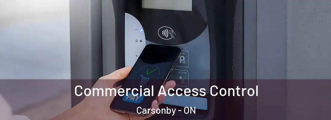 Commercial Access Control Carsonby - ON
