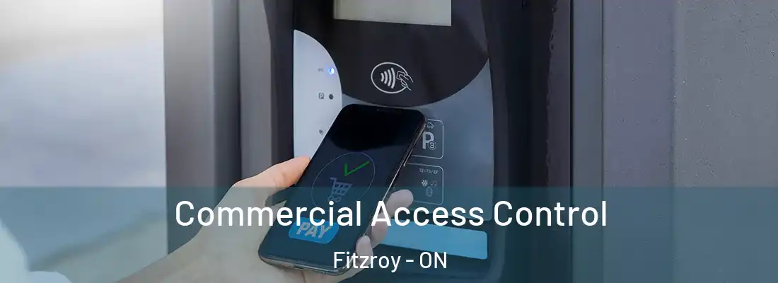  Commercial Access Control Fitzroy - ON