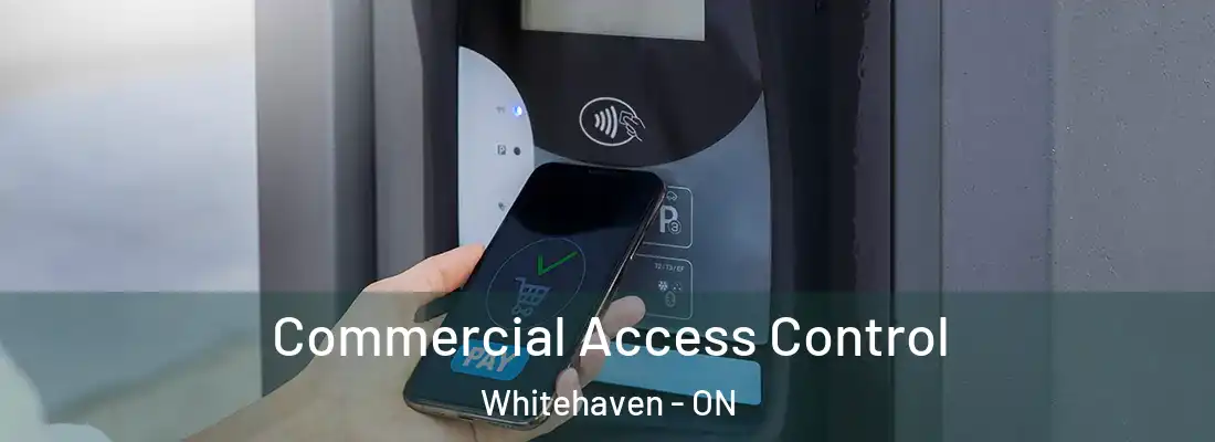  Commercial Access Control Whitehaven - ON