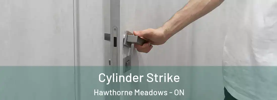 Cylinder Strike Hawthorne Meadows - ON