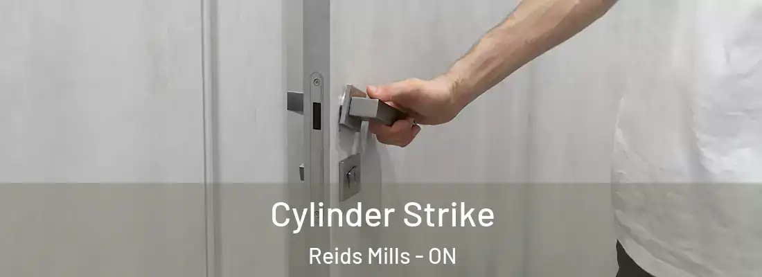  Cylinder Strike Reids Mills - ON