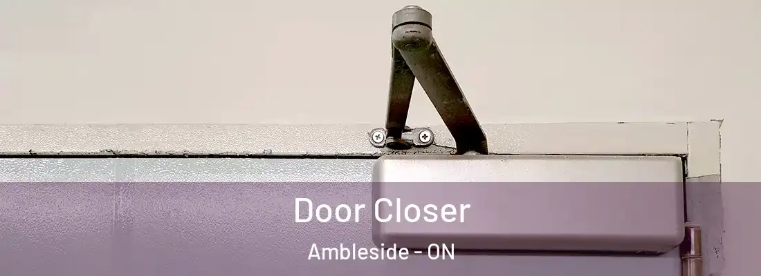  Door Closer Ambleside - ON