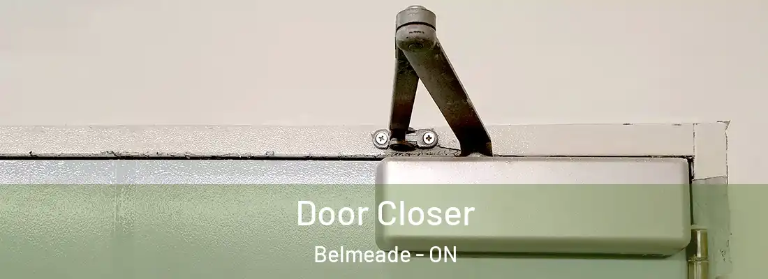  Door Closer Belmeade - ON