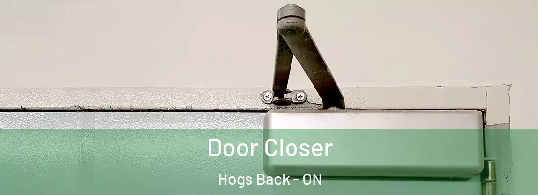  Door Closer Hogs Back - ON
