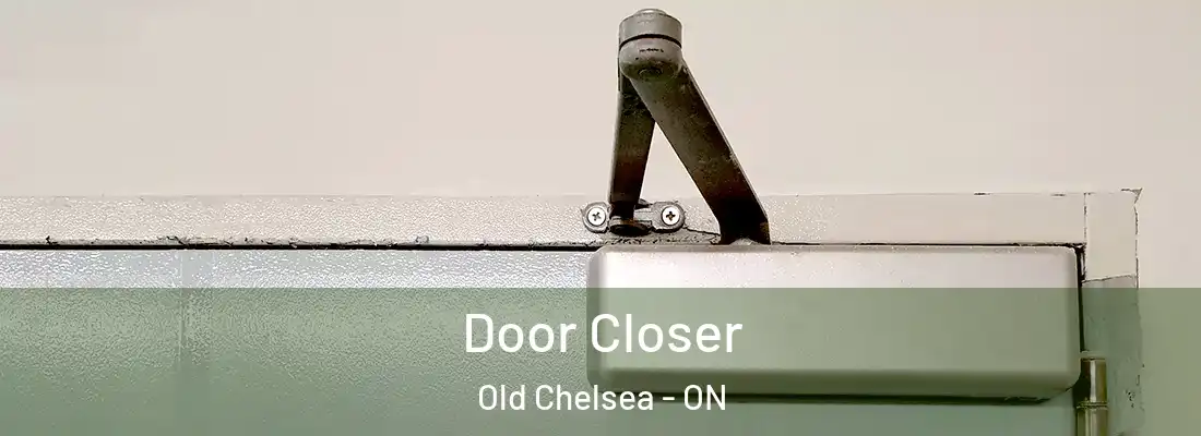  Door Closer Old Chelsea - ON