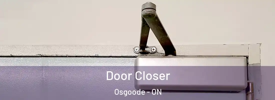 Door Closer Osgoode - ON