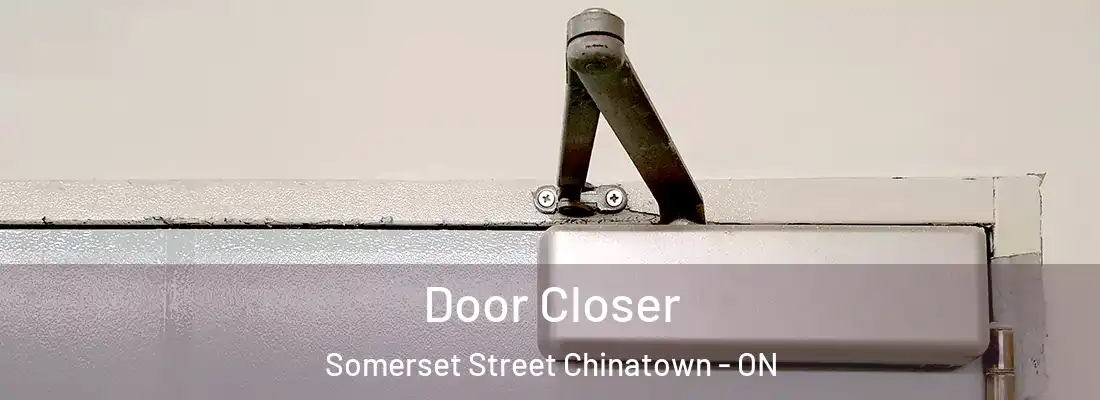  Door Closer Somerset Street Chinatown - ON