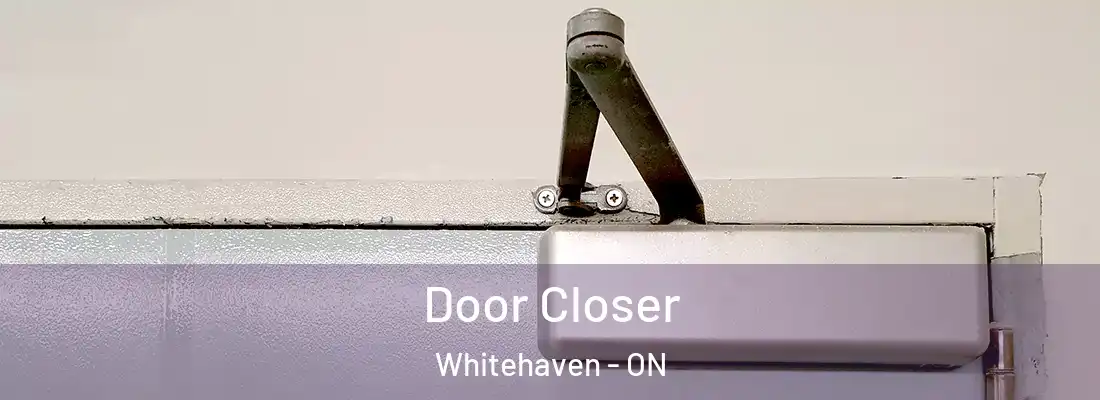  Door Closer Whitehaven - ON