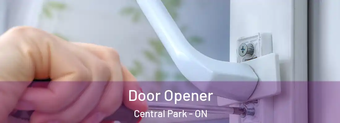  Door Opener Central Park - ON