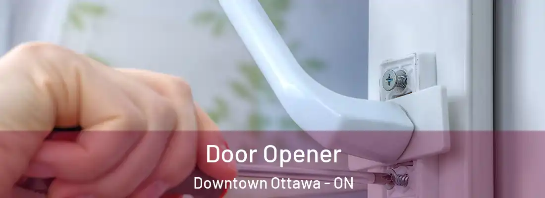  Door Opener Downtown Ottawa - ON