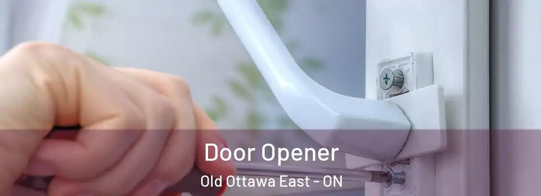  Door Opener Old Ottawa East - ON
